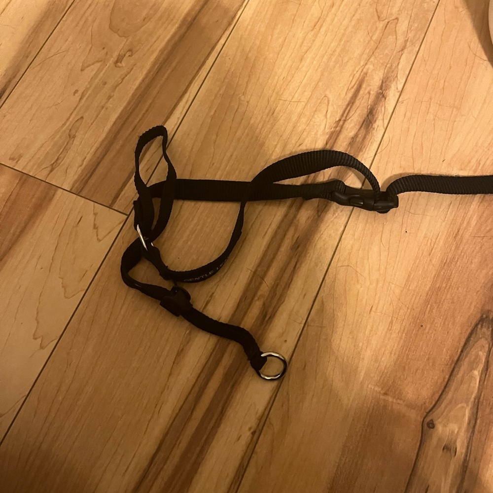 Gentle leader head collar for dogs